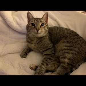 Meet your Posher, Jessica